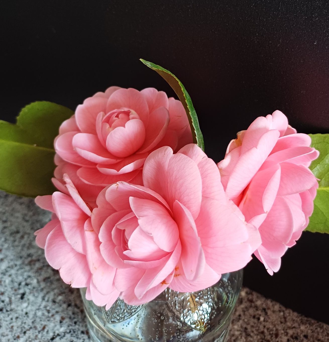 프로필사진