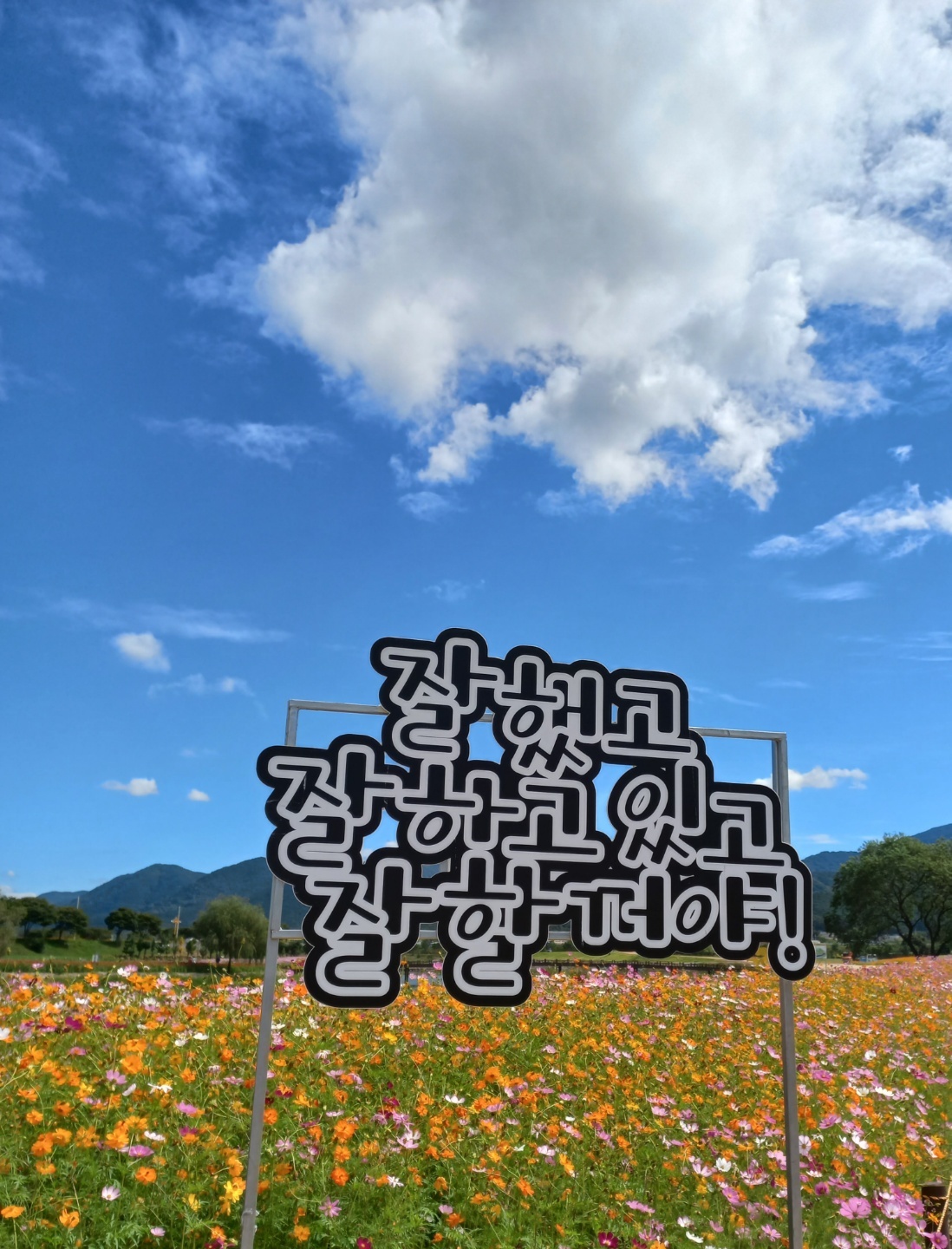 프로필사진