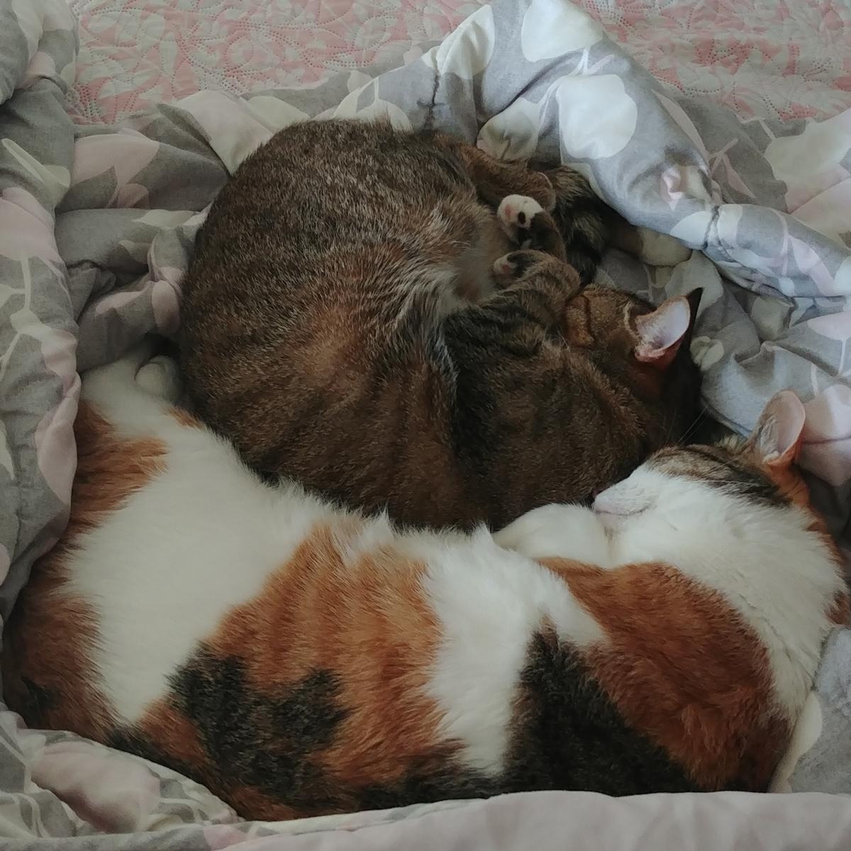 블로그 이미지