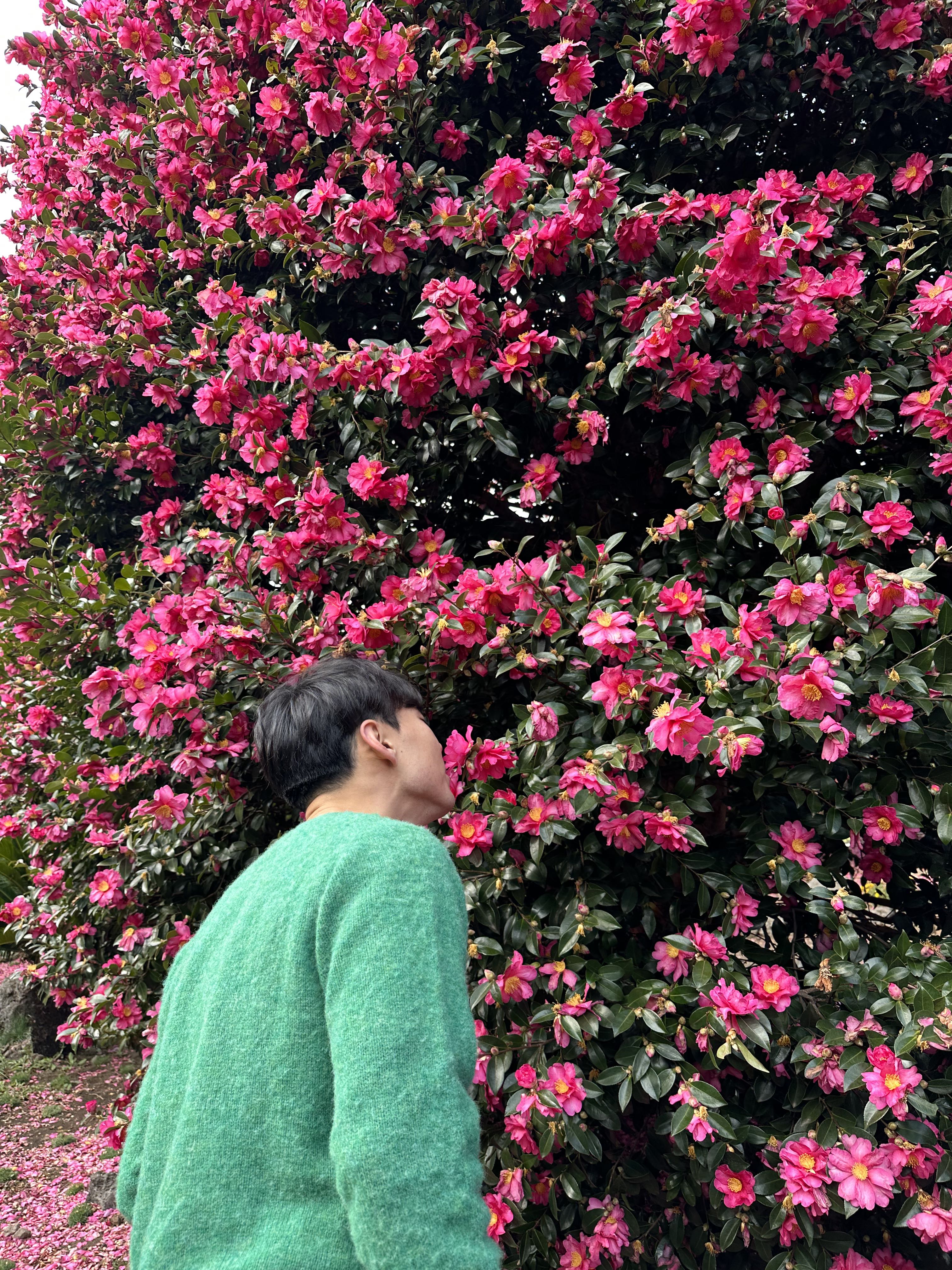 프로필사진