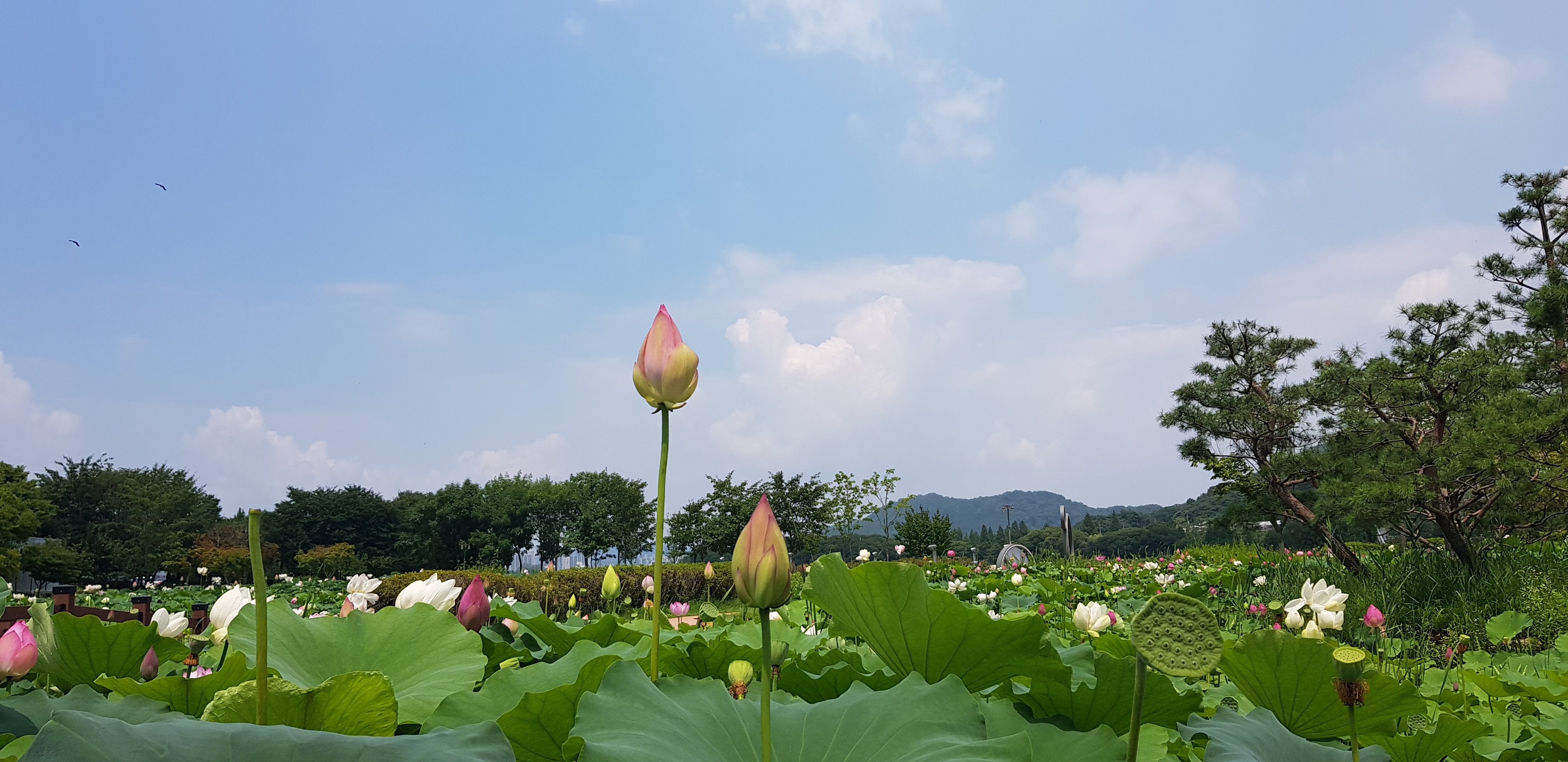 프로필사진