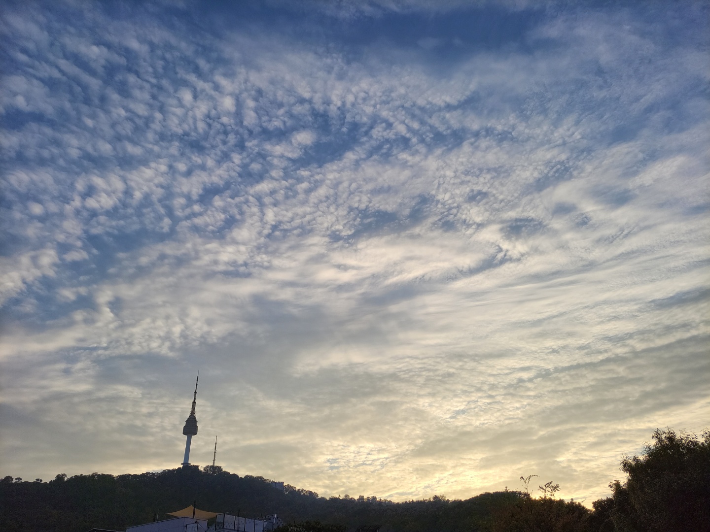 사랑스런 그녀의 행복한 집