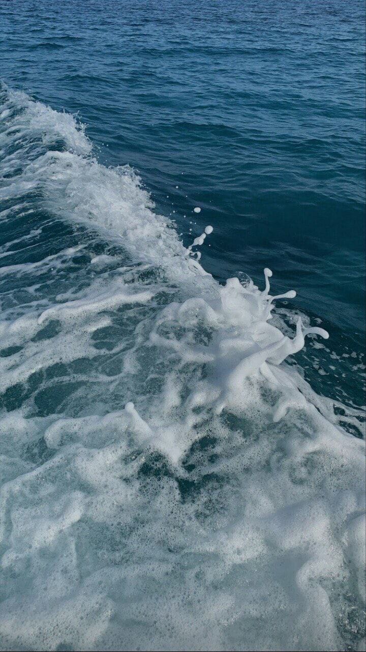 프로필사진