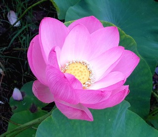 프로필사진