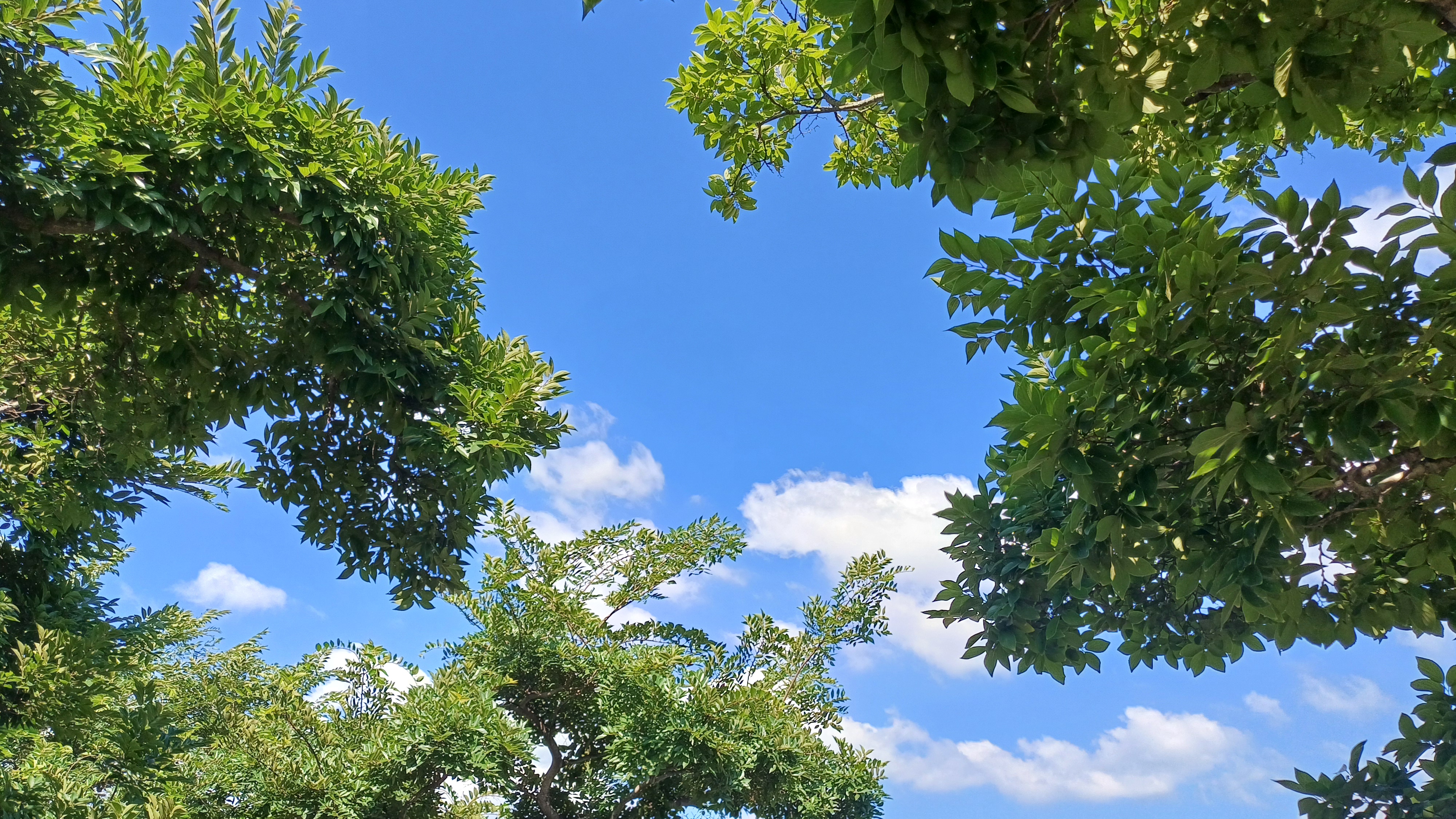 프로필사진