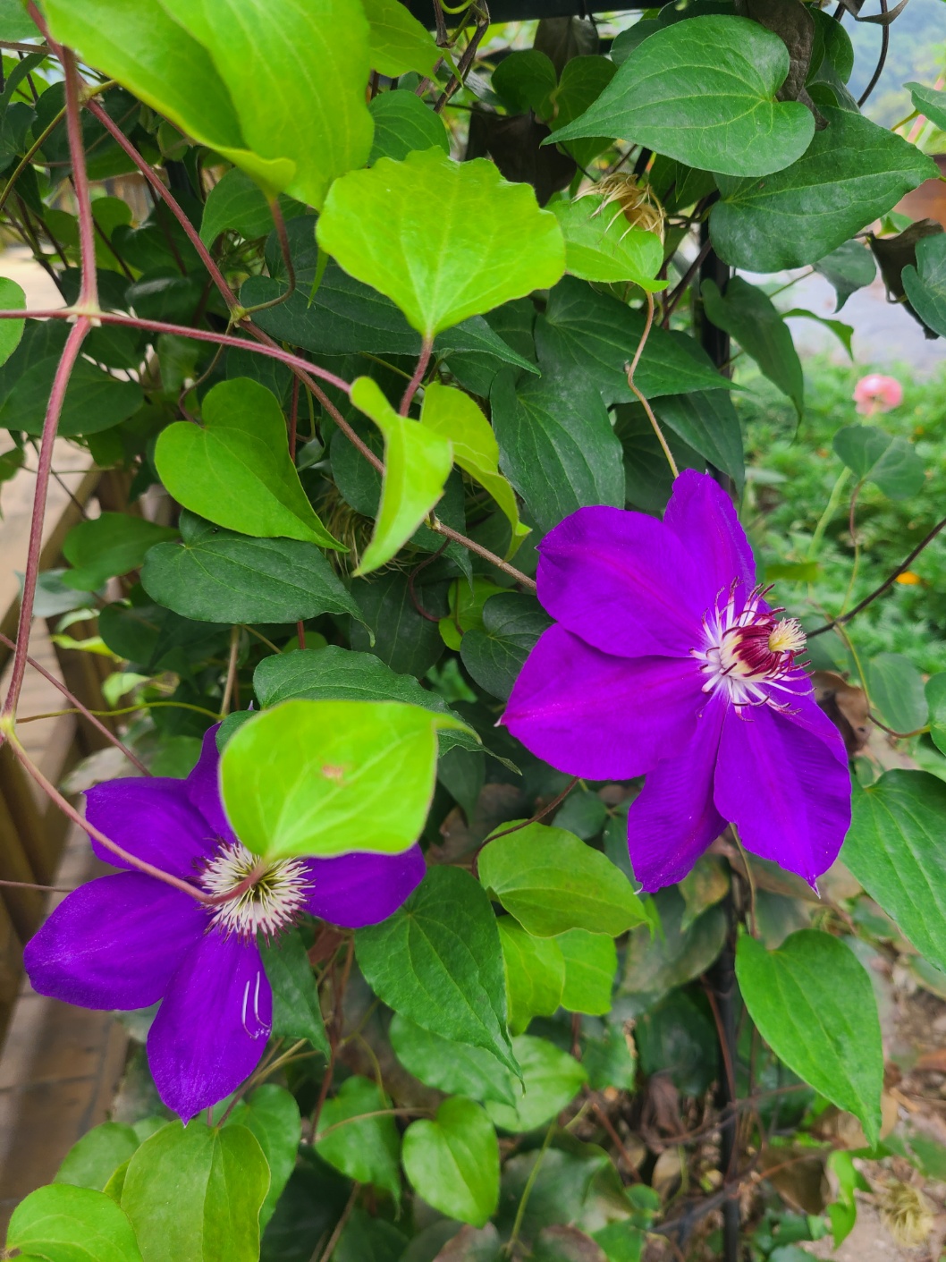 프로필사진