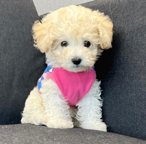 프로필사진