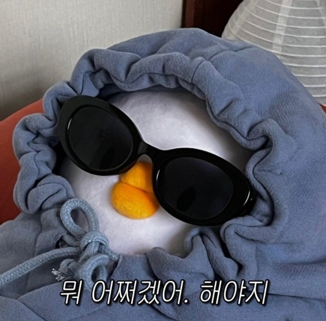프로필사진