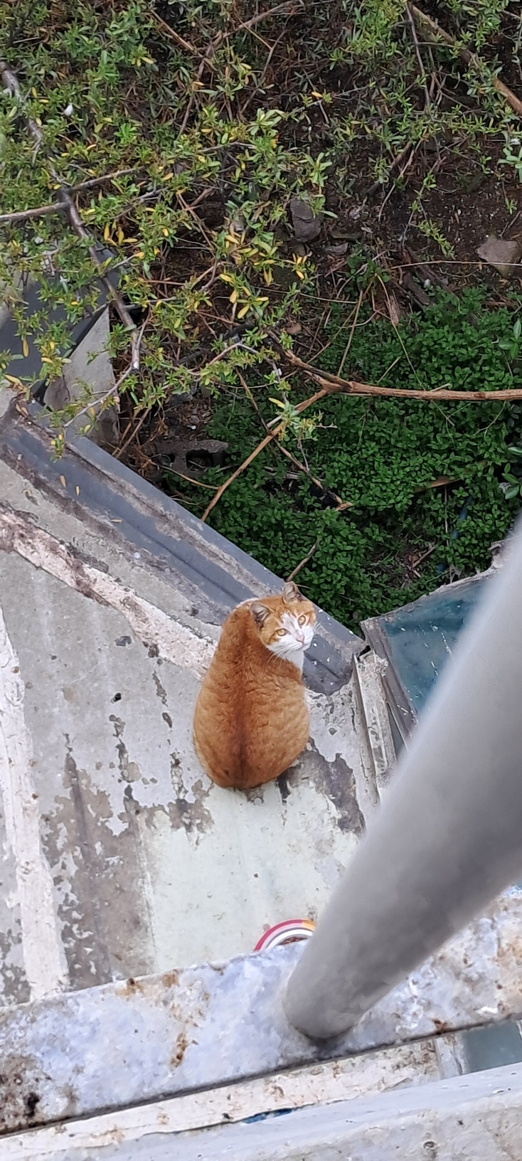 프로필사진