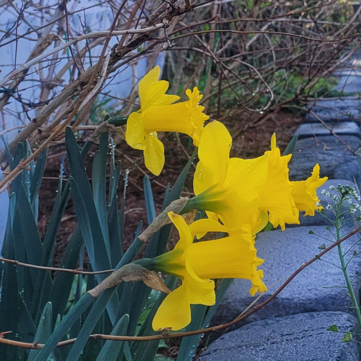 프로필사진