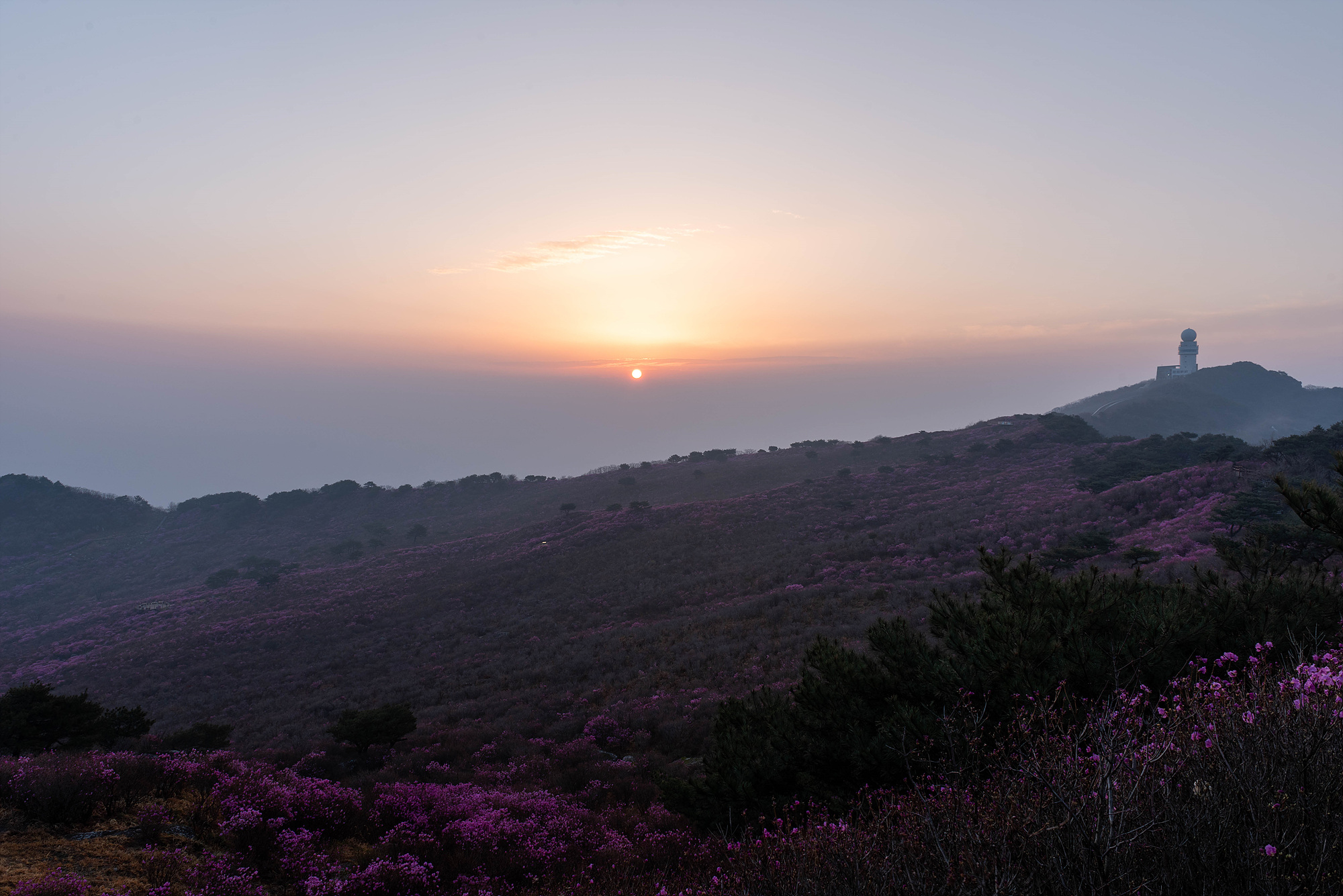 프로필사진