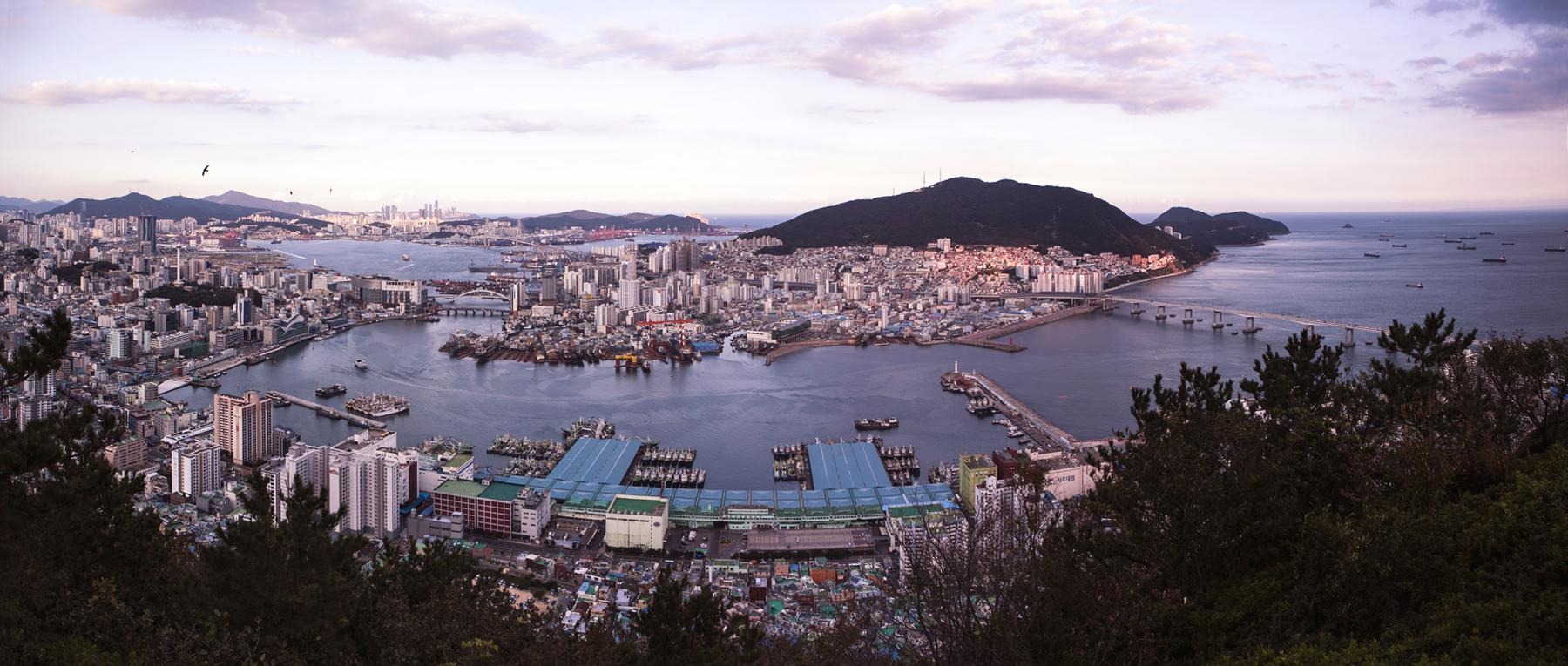 프로필사진
