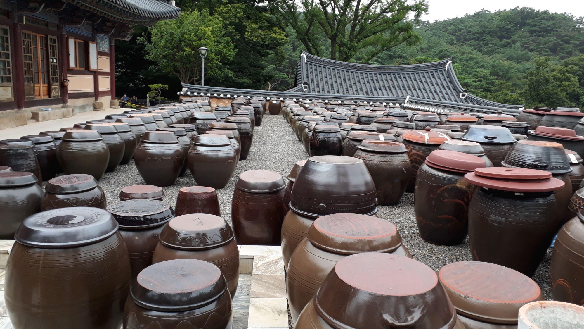 프로필사진