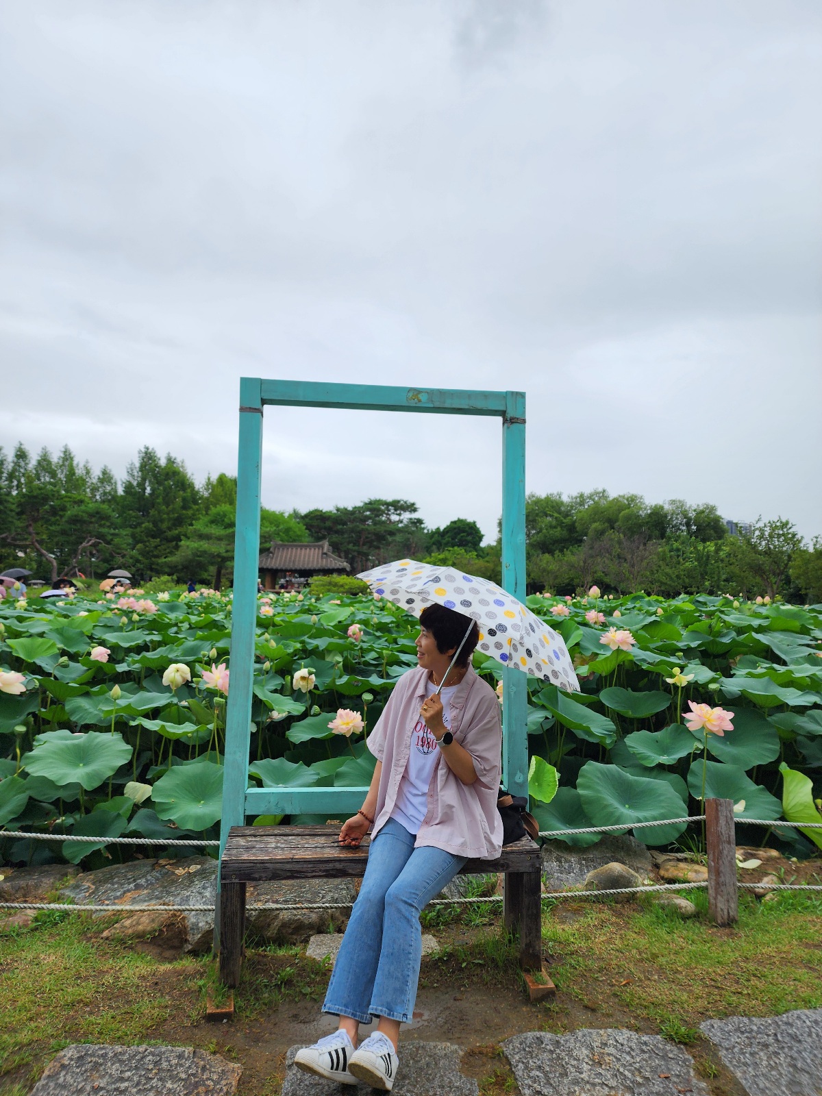 프로필사진