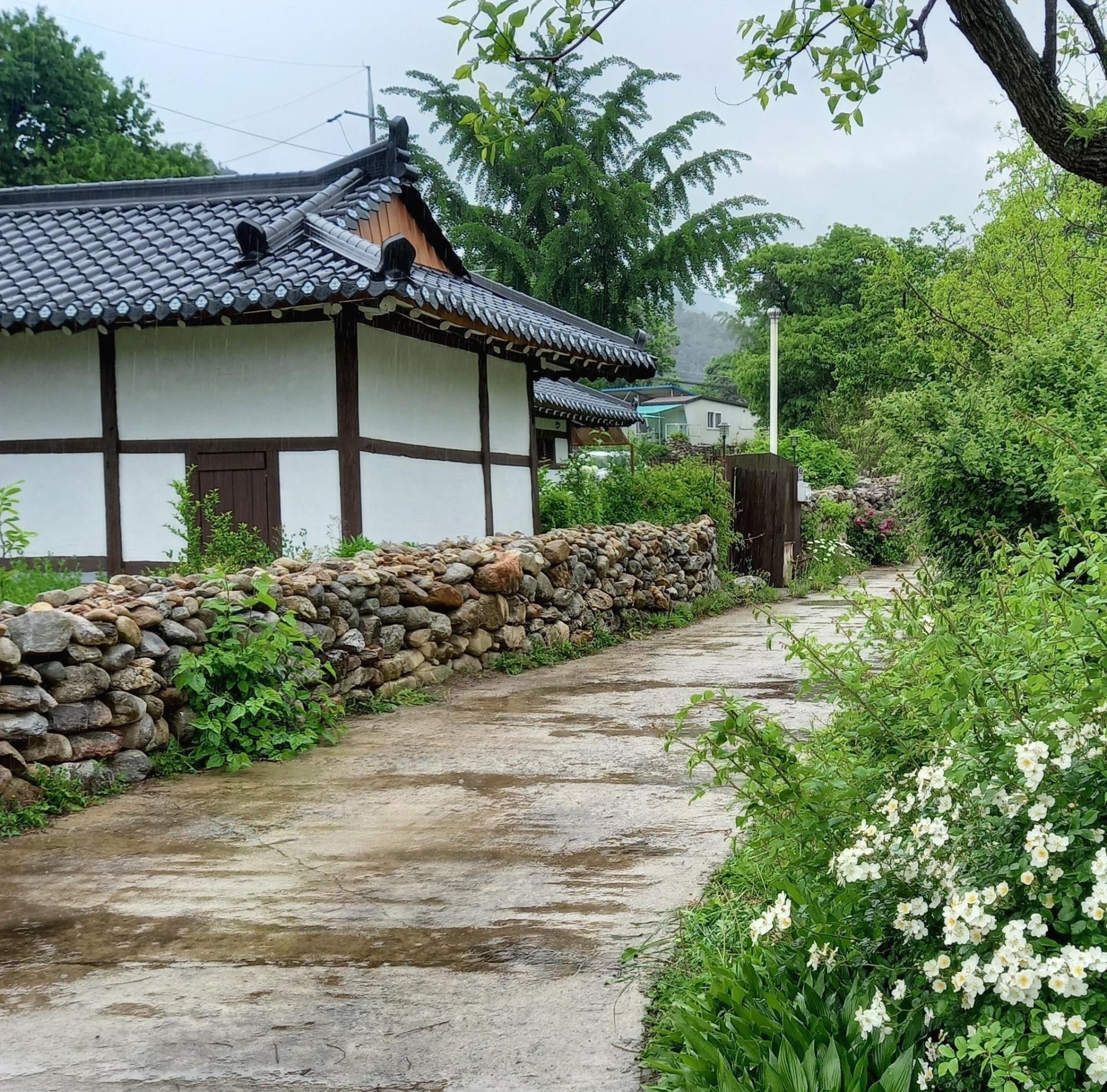 프로필사진