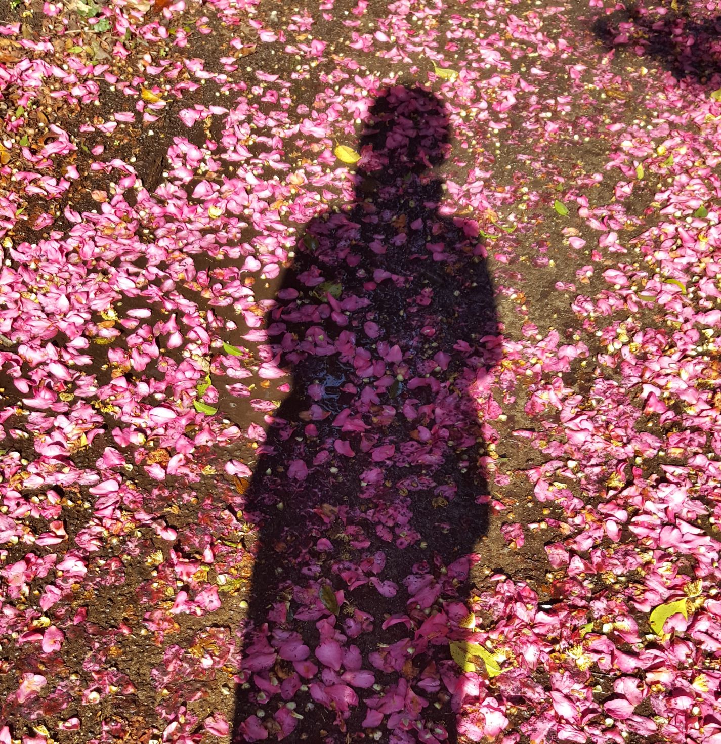 프로필사진