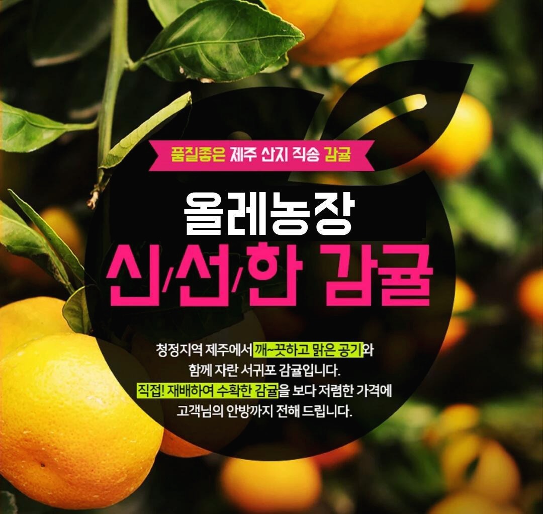 프로필사진