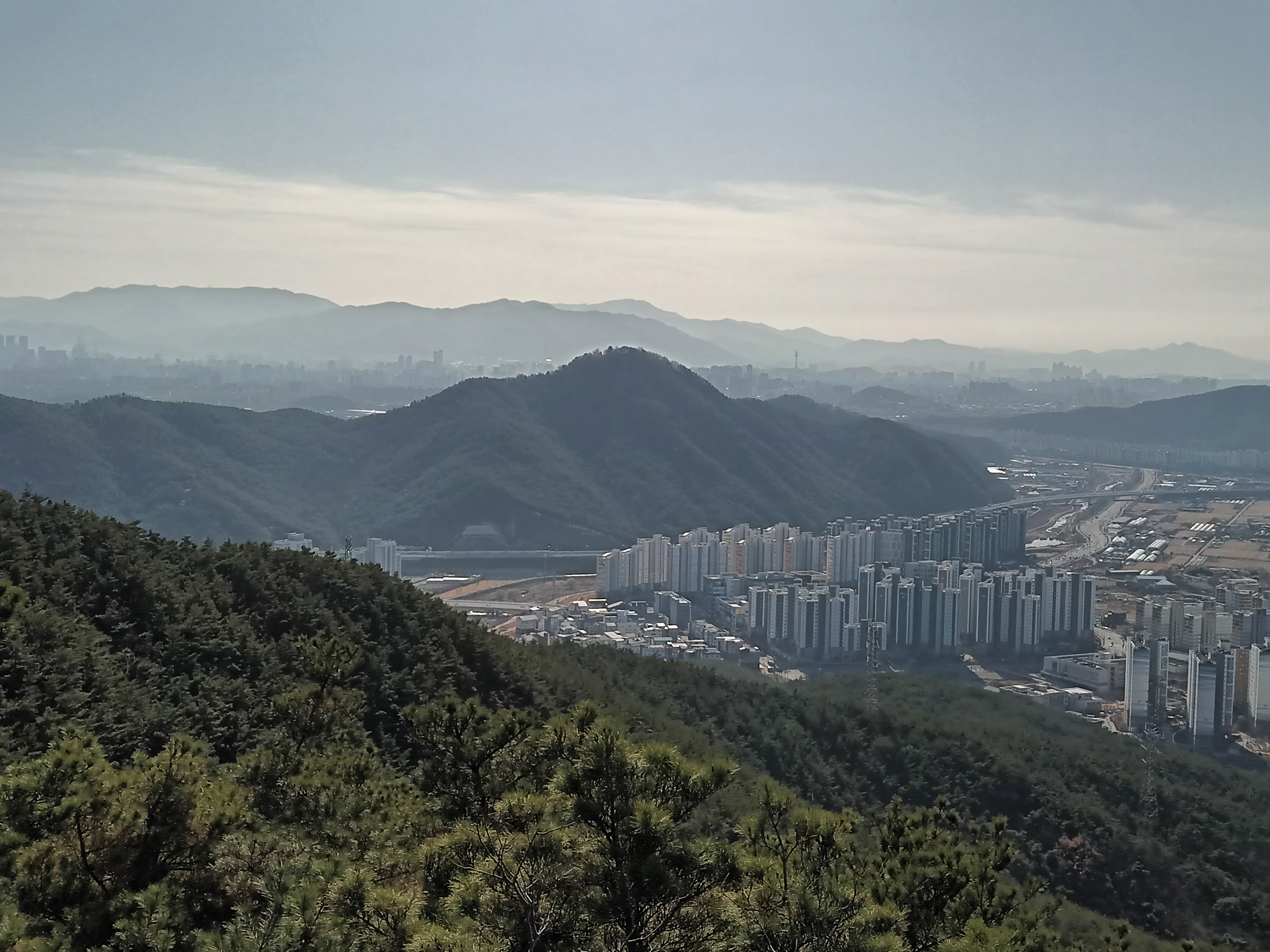 프로필사진