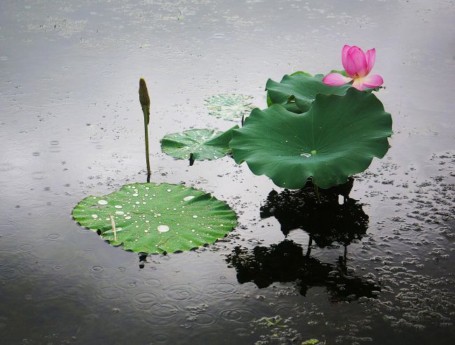 프로필사진