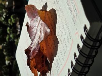 프로필사진