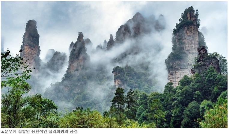 프로필사진