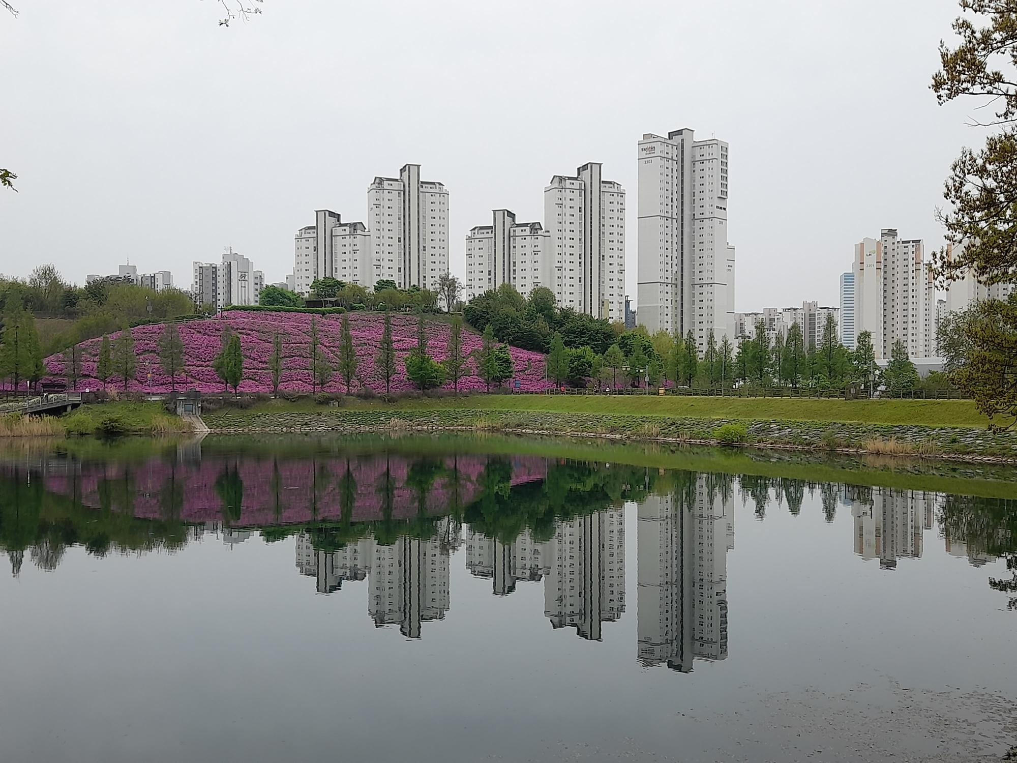 프로필사진