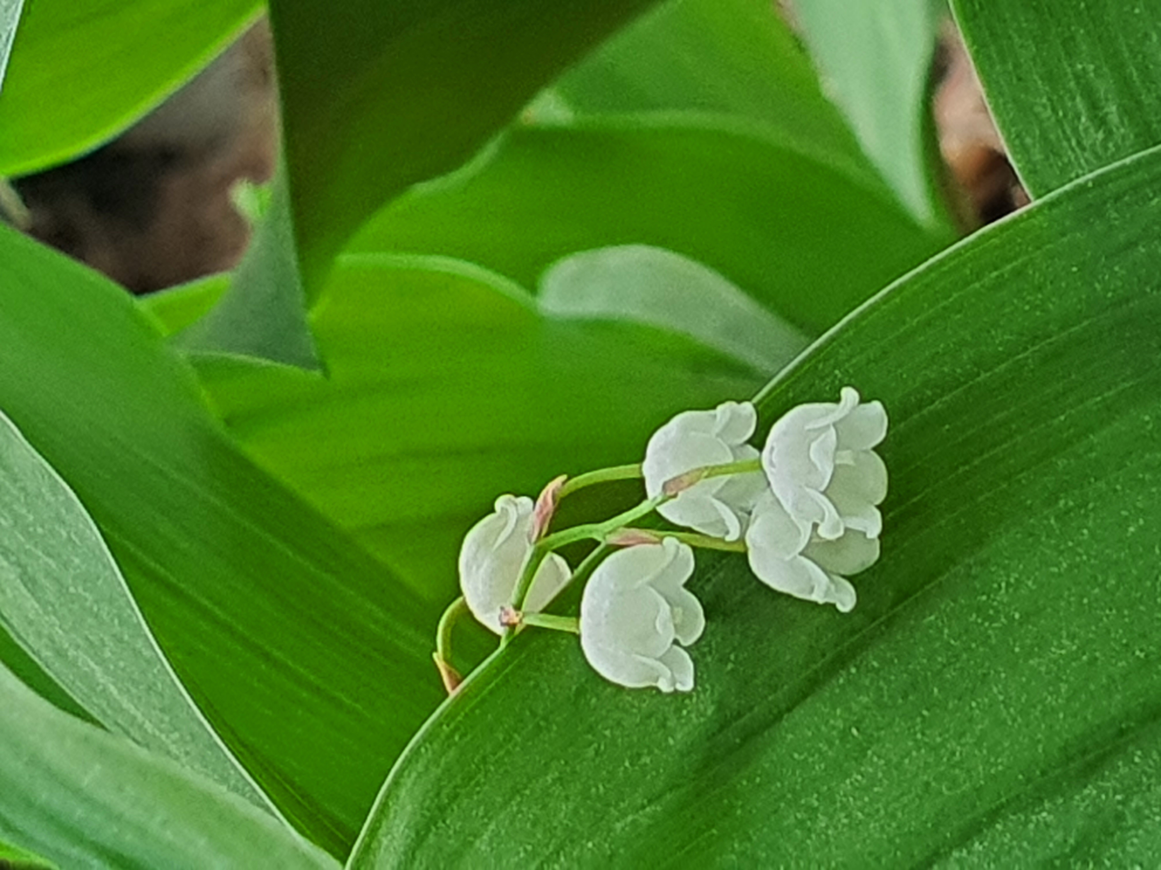 프로필사진