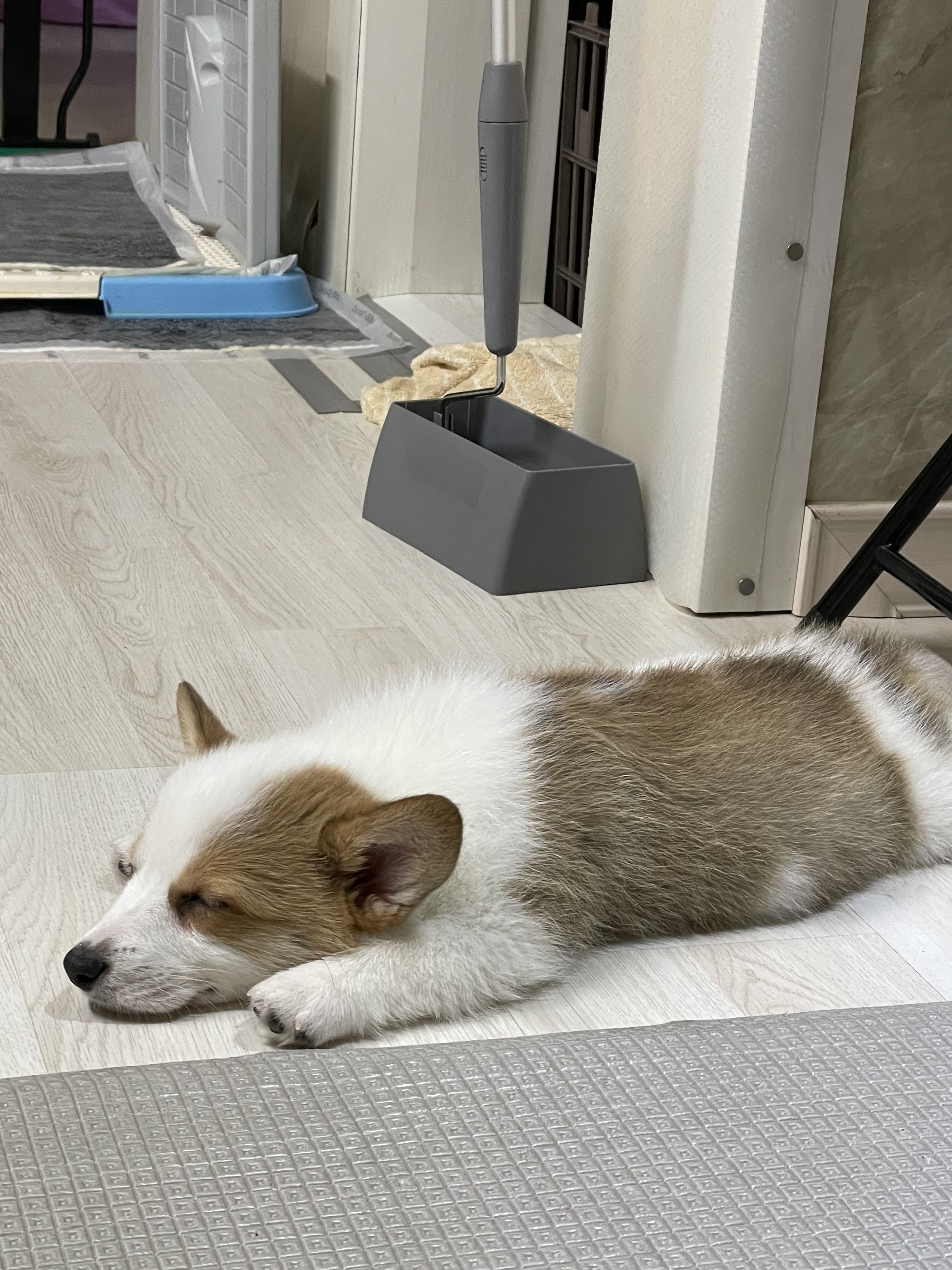 프로필사진