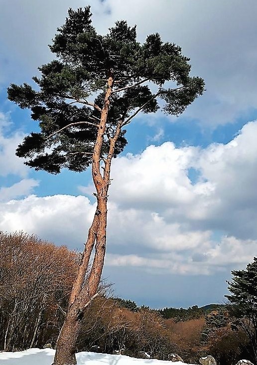 프로필사진