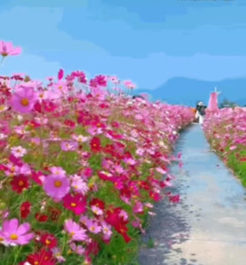 프로필사진