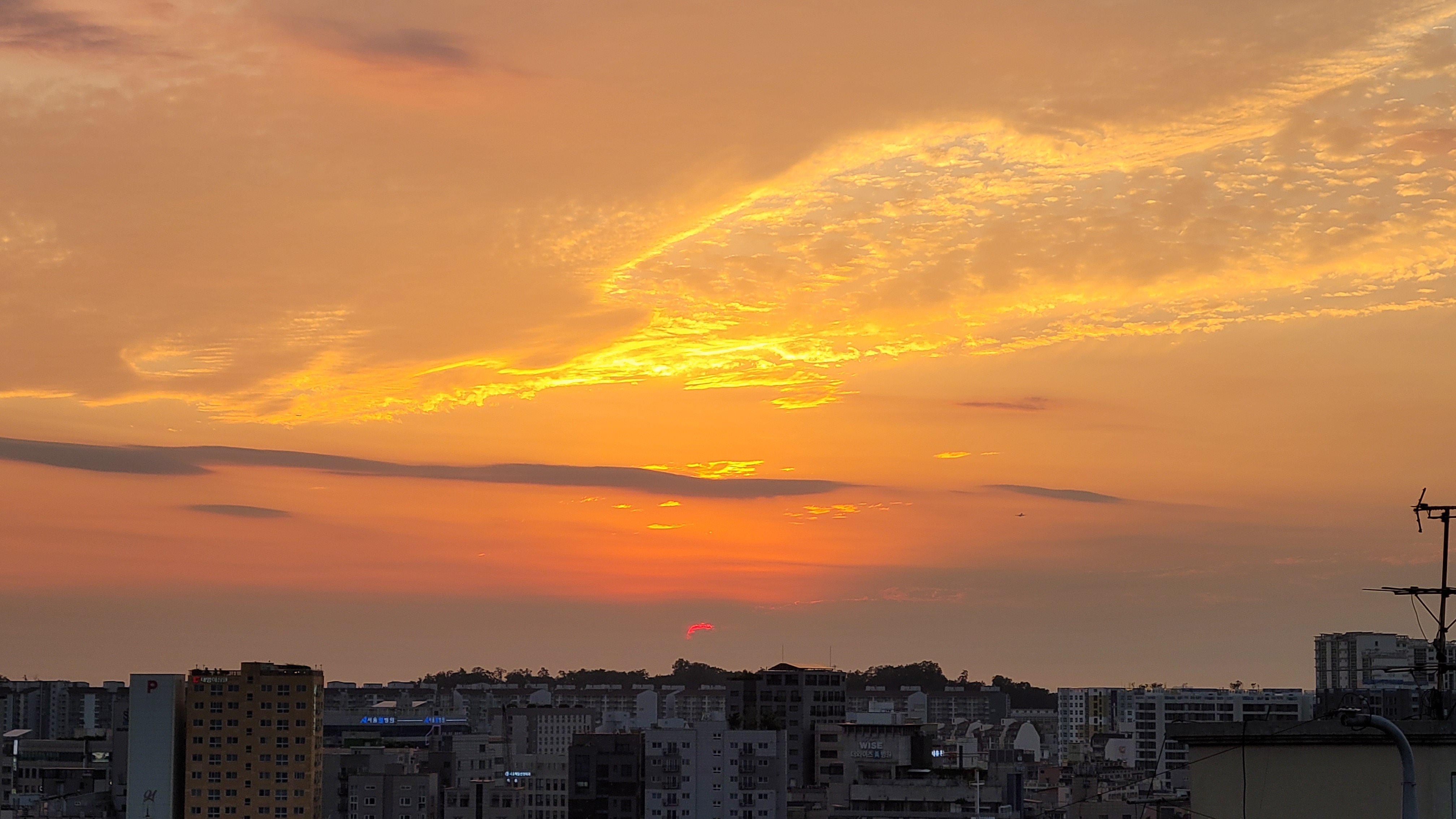 프로필사진