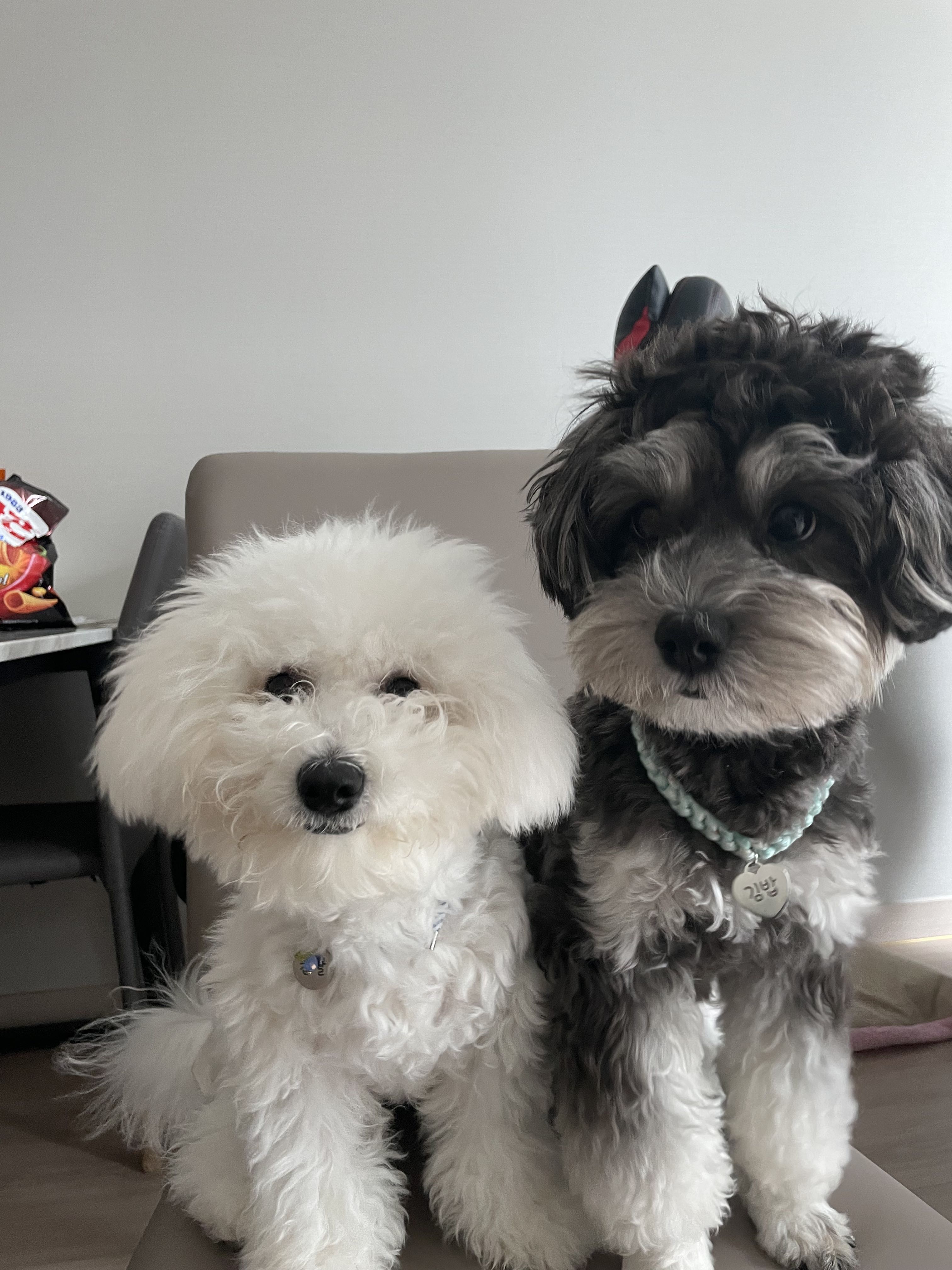 프로필사진