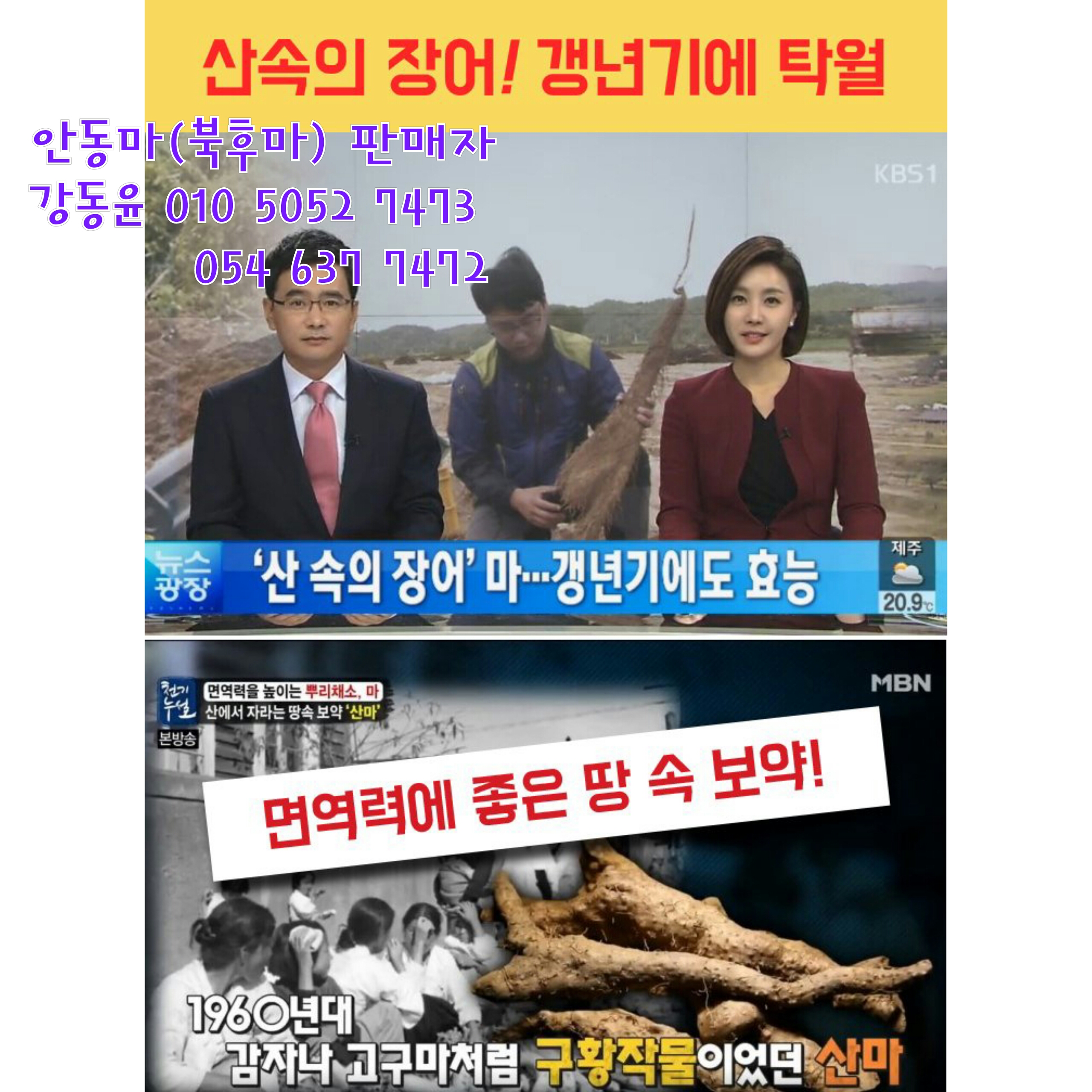 프로필사진