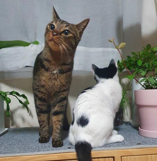 블로그 이미지