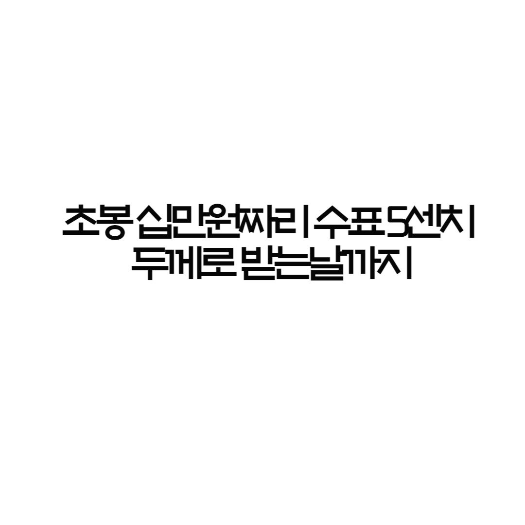 프로필사진