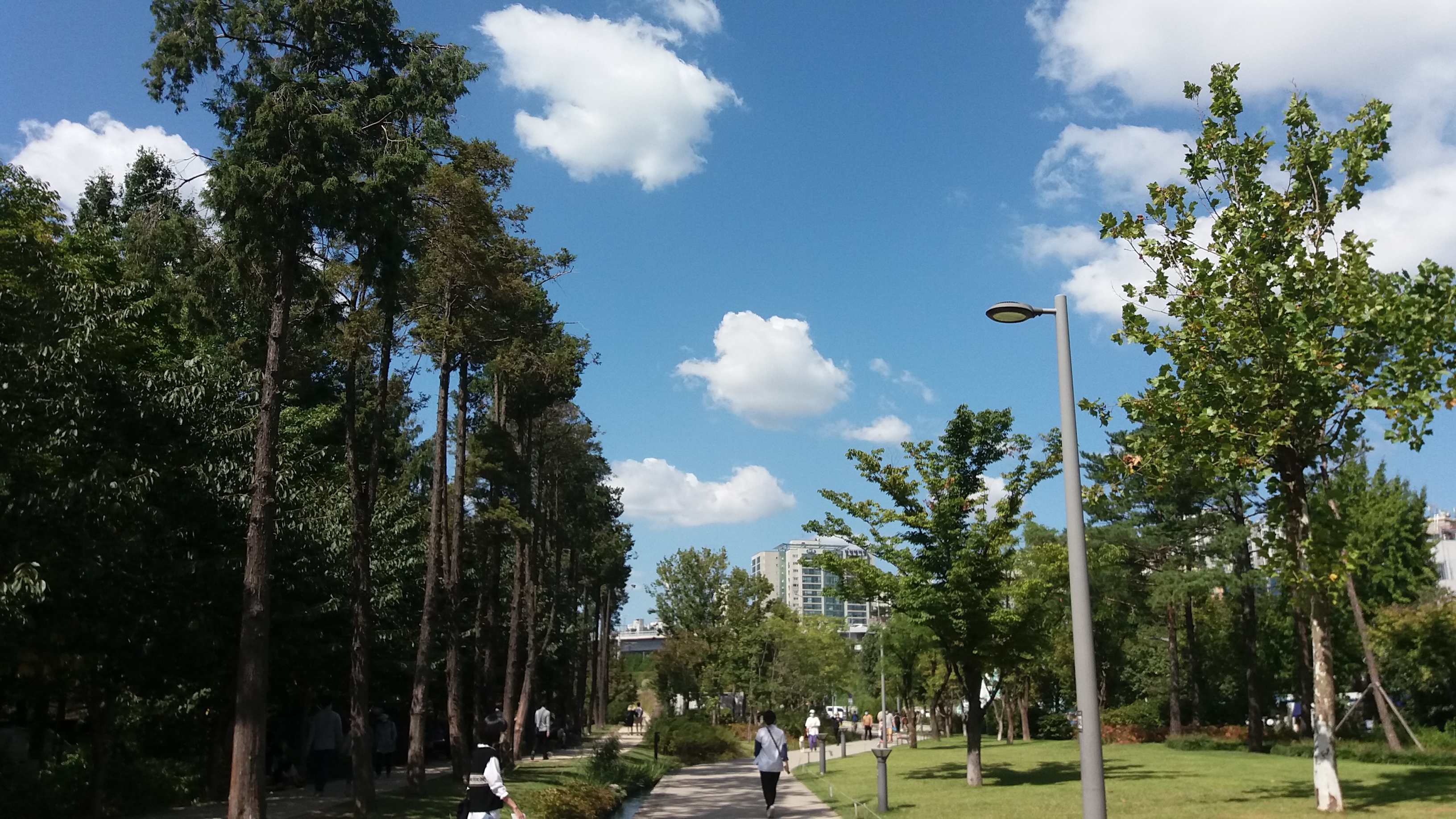 프로필사진