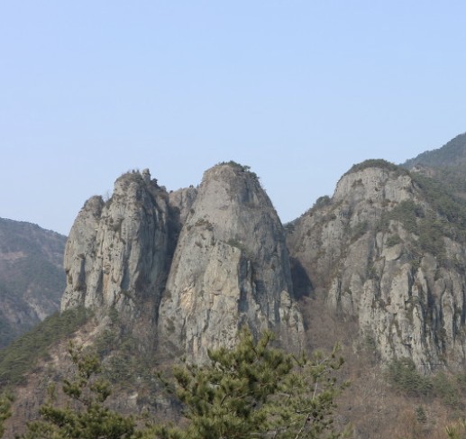 프로필사진