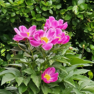 프로필사진