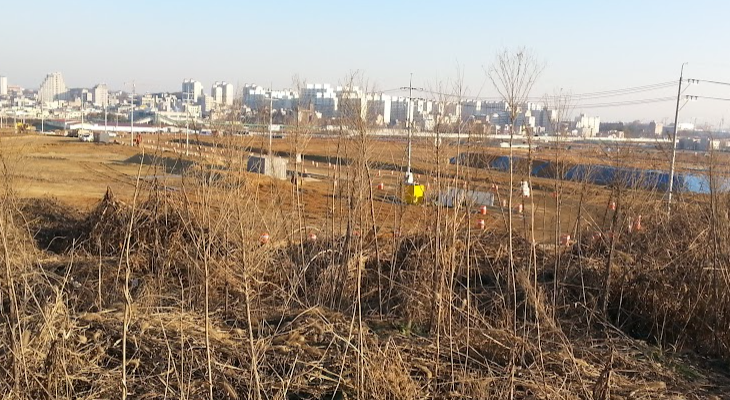 프로필사진