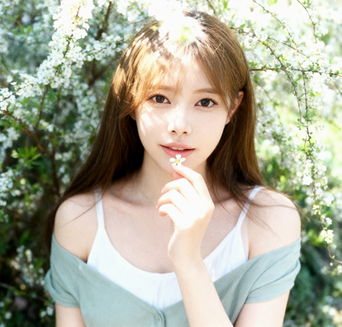 블로그 이미지