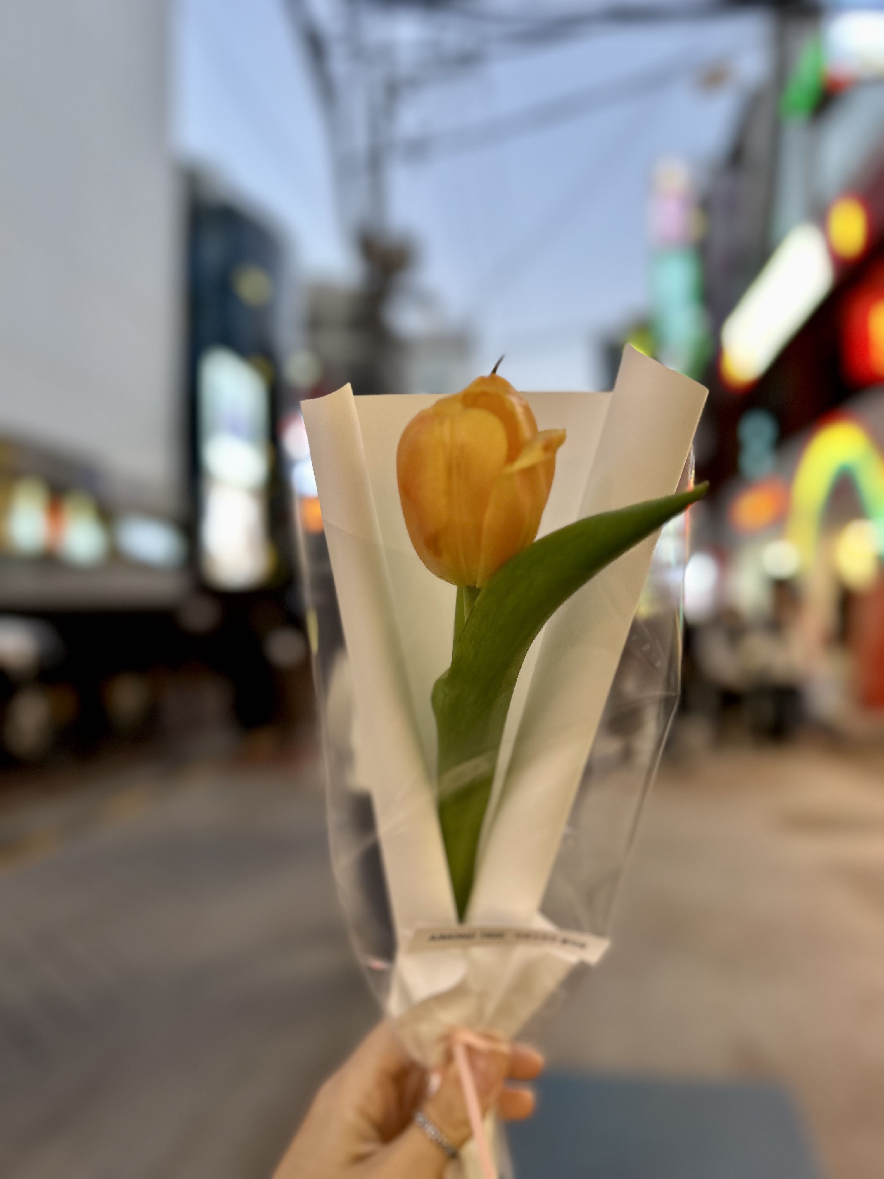 프로필사진
