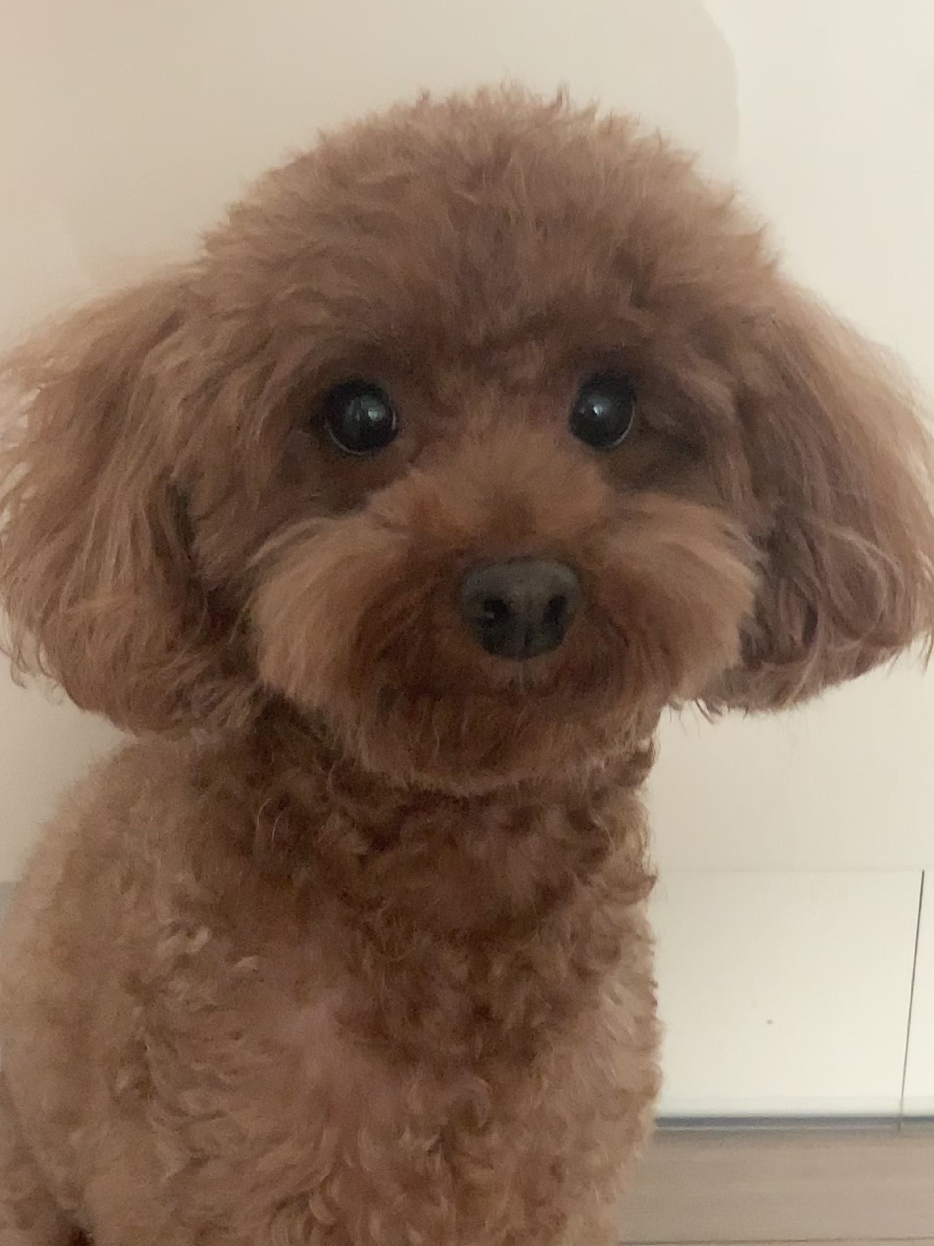 프로필사진