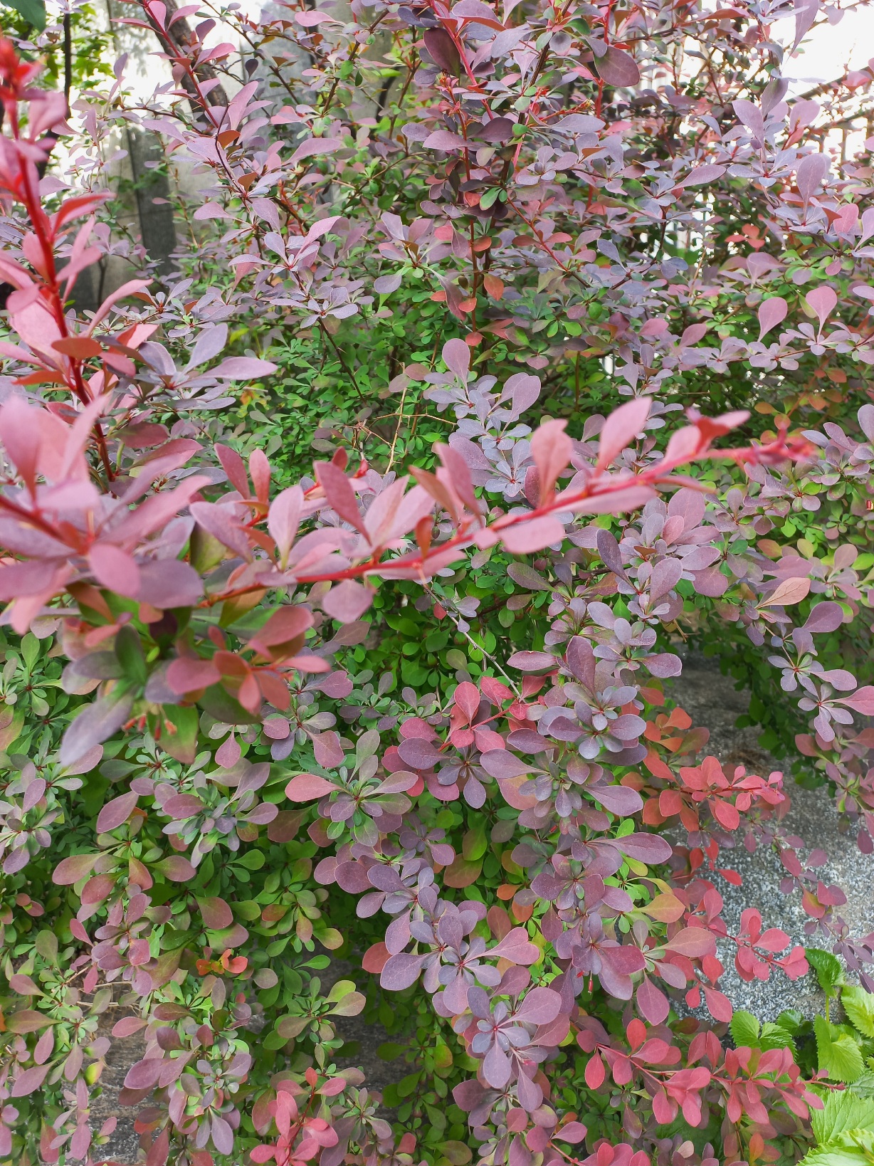 프로필사진