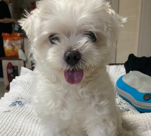 프로필사진