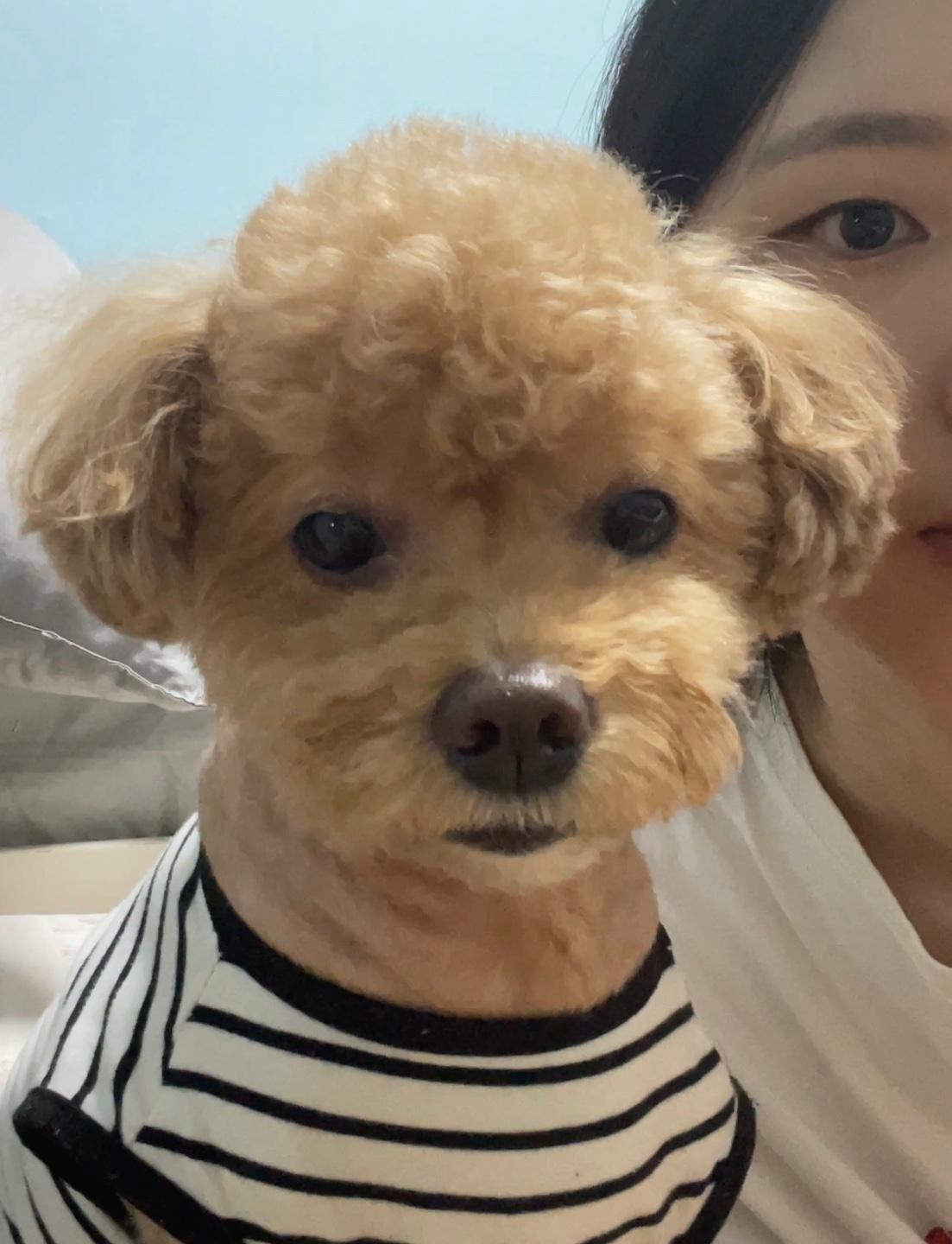 블로그 이미지