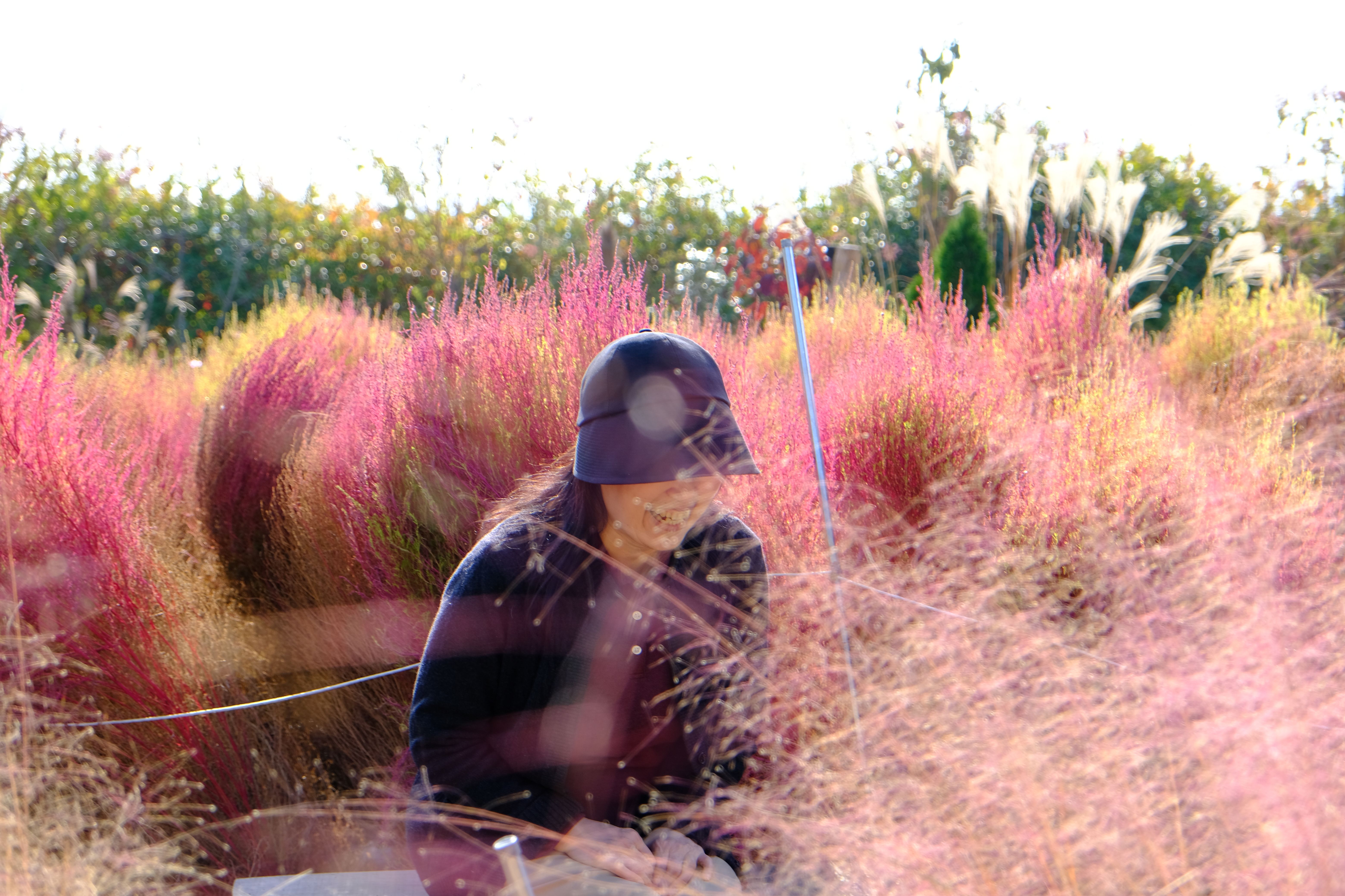 Tistory profile picture for @evaeva