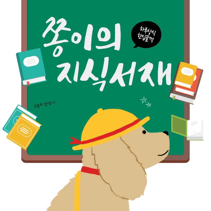 블로그 이미지
