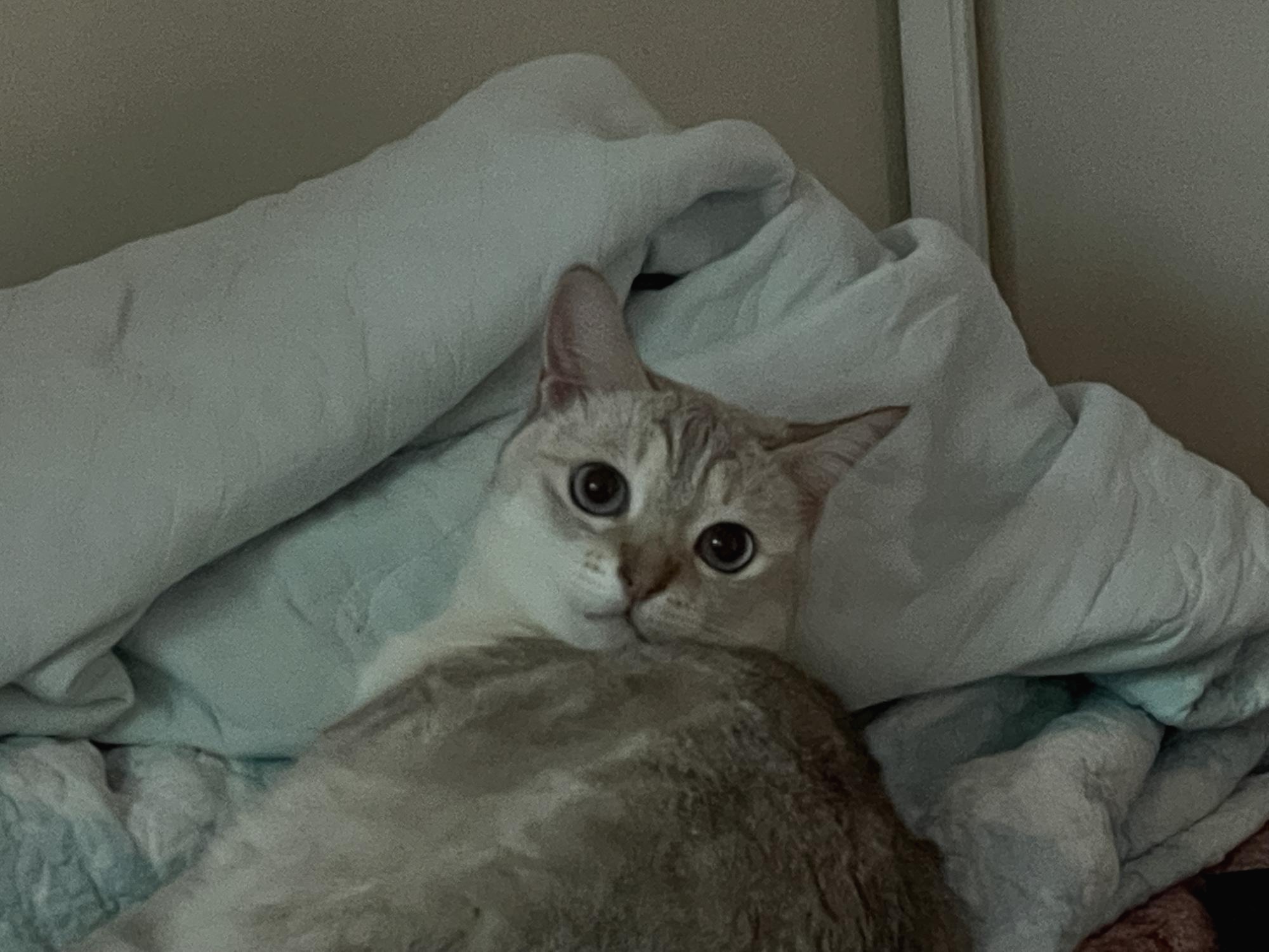 프로필사진