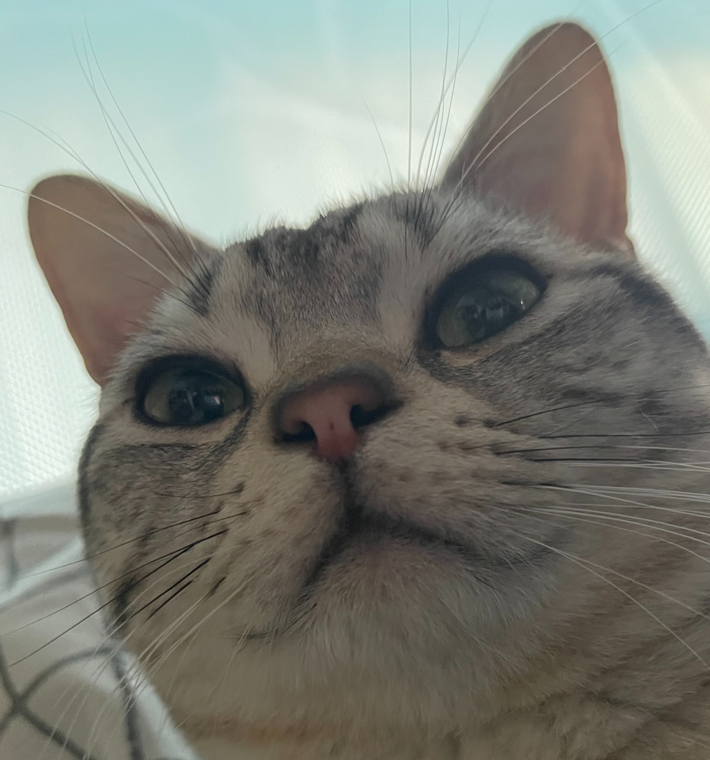김로원