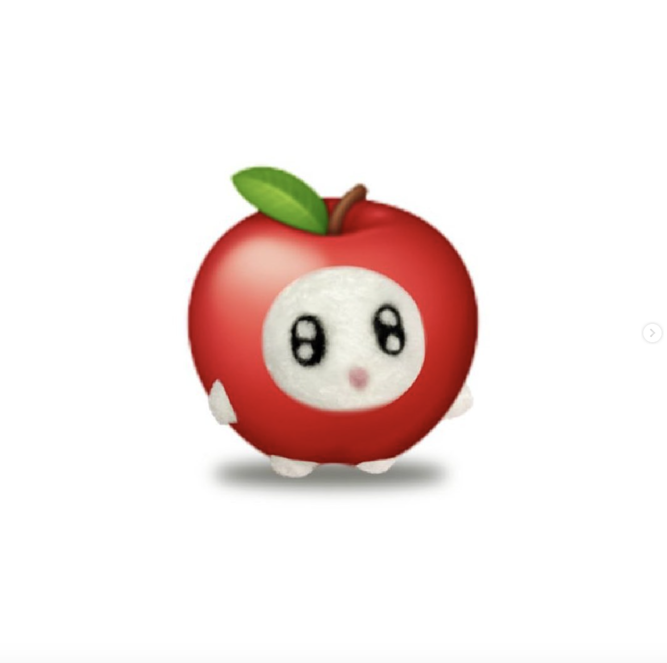 프로필사진